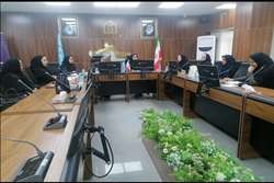 گروه کاری سلامت و امنیت غذایی با موضوع استفاده از ظرفیت خیرین و صنایع در برنامه شیر مدارس در چهارشنبه 25 مردادماه برگزار گردید.